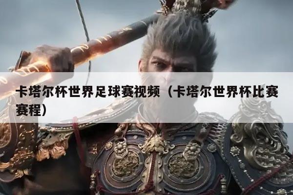卡塔尔杯世界足球赛视频（卡塔尔世界杯比赛赛程）