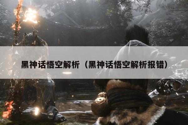 黑神话悟空解析（黑神话悟空解析报错）