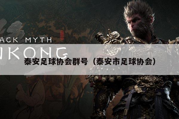 泰安足球协会群号（泰安市足球协会）