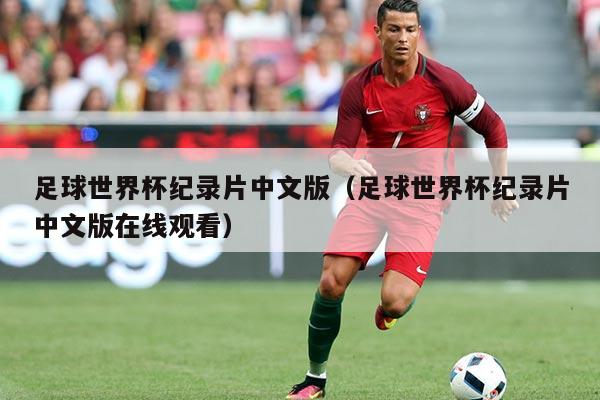 足球世界杯纪录片中文版（足球世界杯纪录片中文版在线观看）