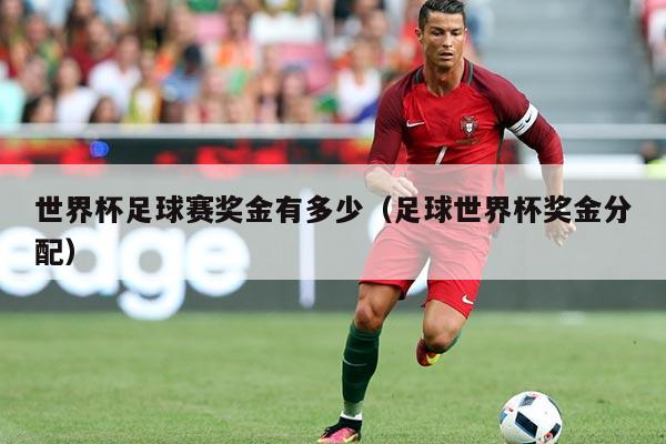 世界杯足球赛奖金有多少（足球世界杯奖金分配）