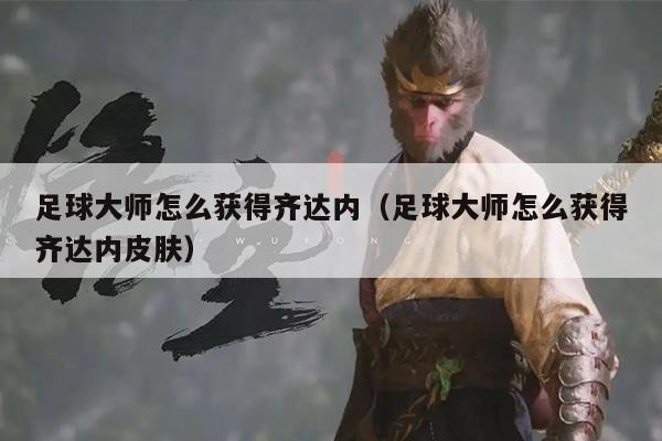 足球大师怎么获得齐达内（足球大师怎么获得齐达内皮肤）