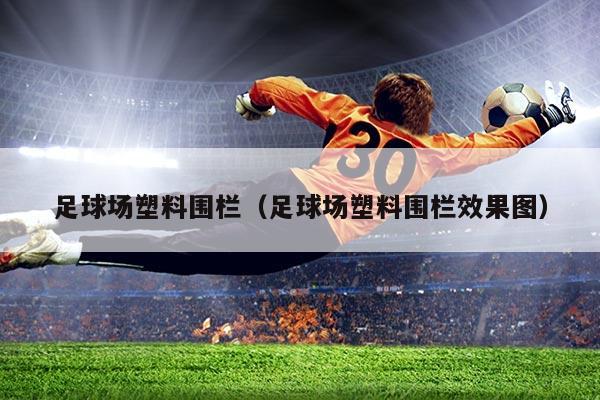 足球场塑料围栏（足球场塑料围栏效果图）