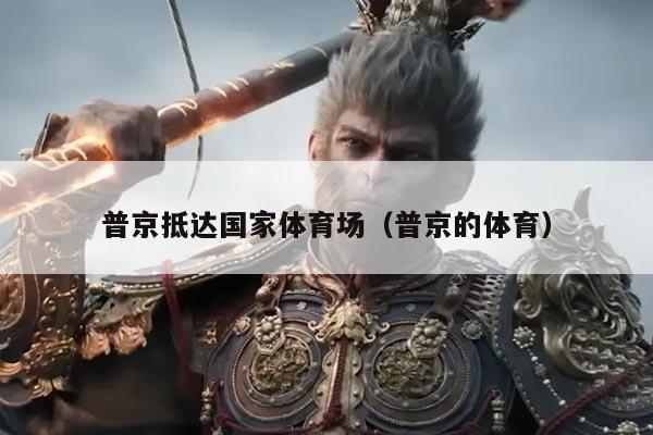 普京抵达国家体育场（普京的体育）