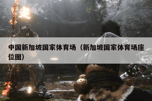 中国新加坡国家体育场（新加坡国家体育场座位图）